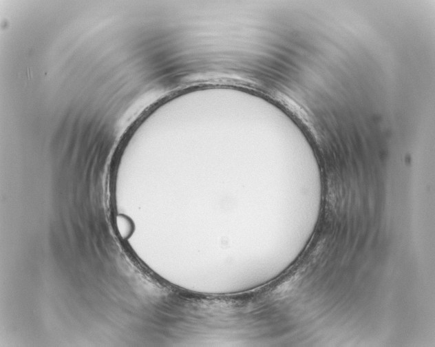 X0000088601082200706221400