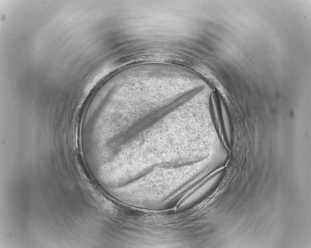 X0000088601083200706221400