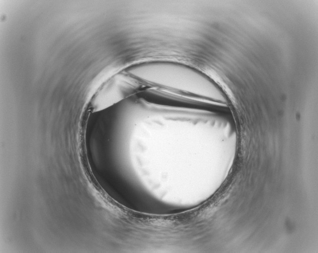 X0000088601085200706221400