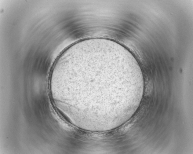 X0000088601086200706221400