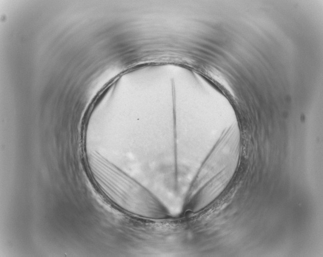 X0000088601087200706221400