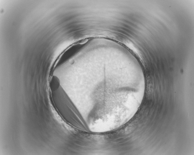 X0000088601088200706221400