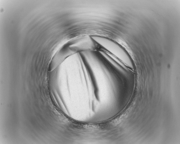 X0000088601089200706221400