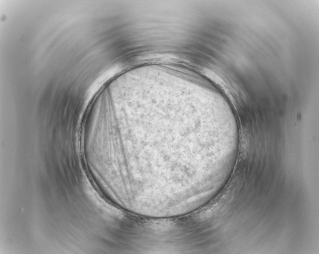 X0000088601090200706221400