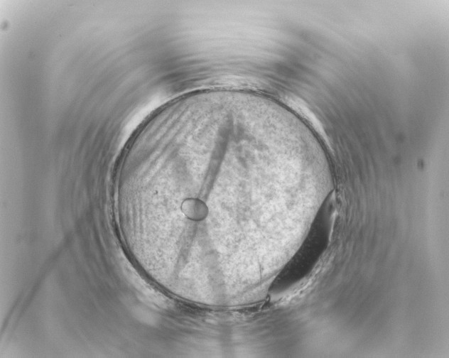 X0000088601091200706221400