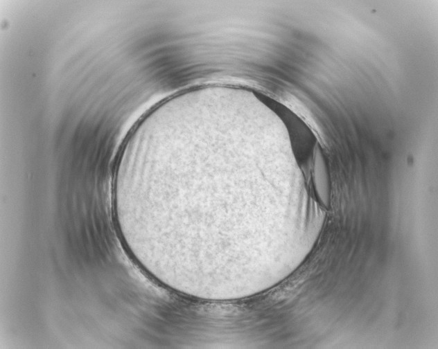 X0000088601092200706221400