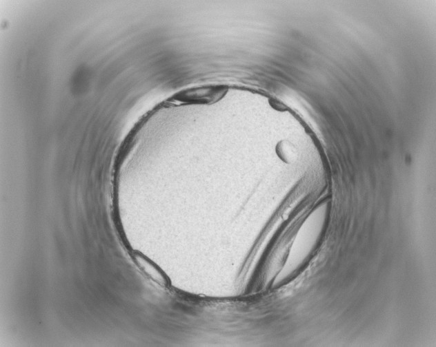 X0000088601093200706221400