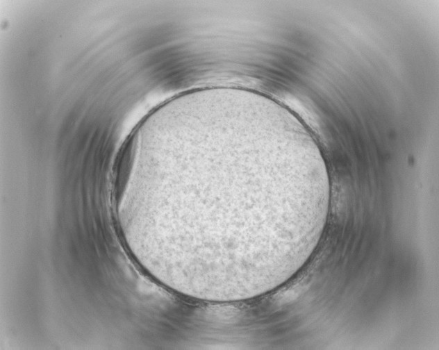 X0000088601094200706221400