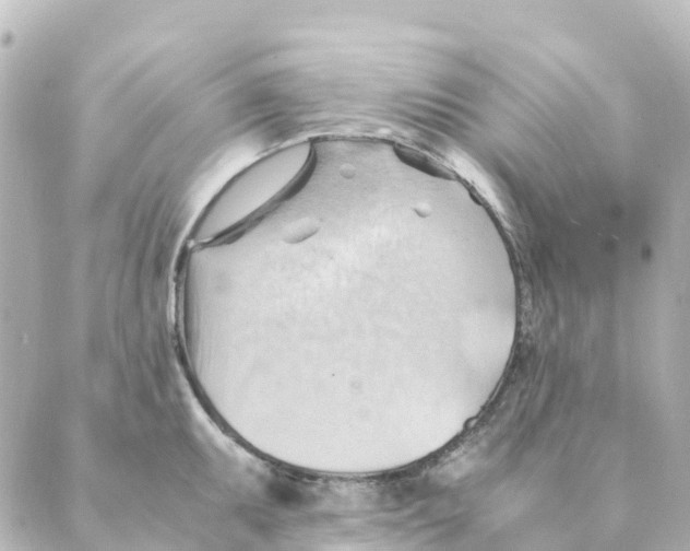 X0000088601095200706221400