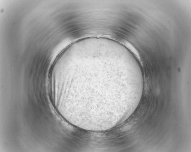 X0000088601096200706221400