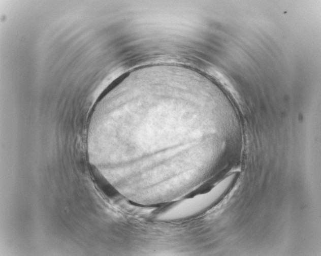 X0000088601097200706221400