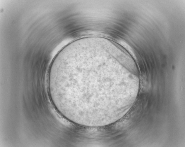 X0000088601098200706221400