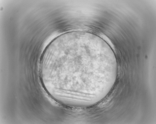 X0000088601099200706221359