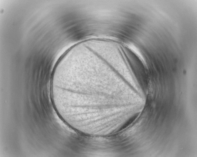 X0000088601100200706221359