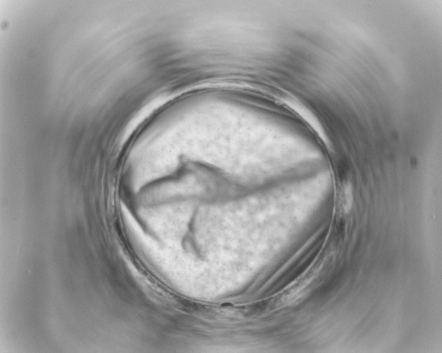 X0000088601101200706221359