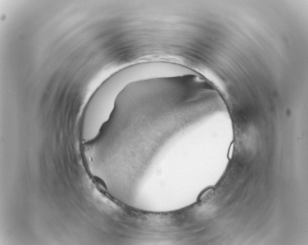 X0000088601102200706221359