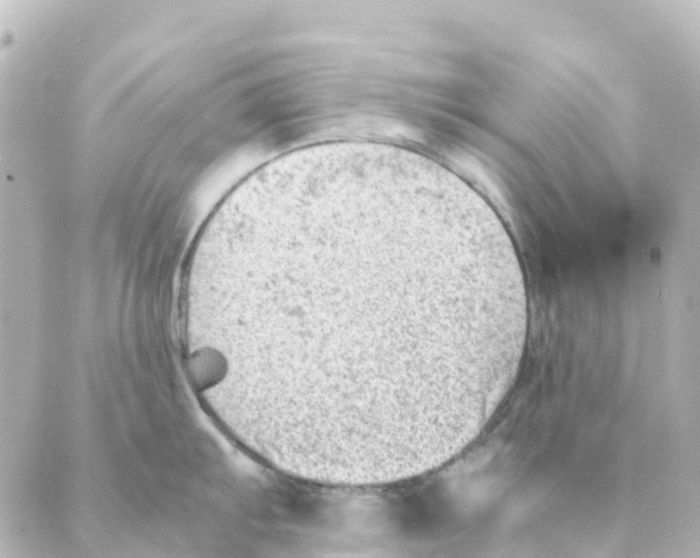 X0000088601103200706221359