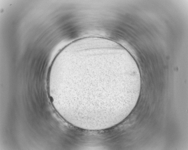 X0000088601104200706221359