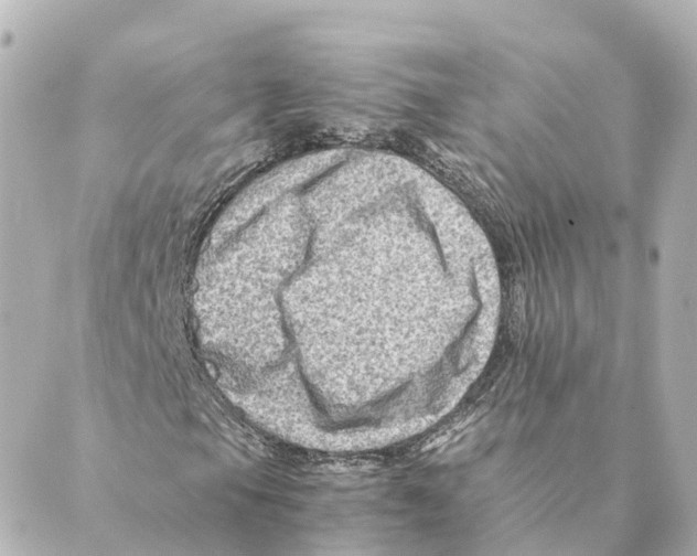 X0000088601105200706221359