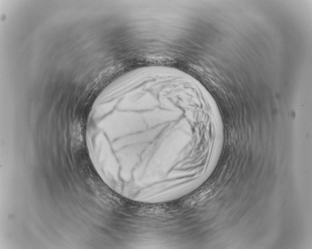 X0000088601106200706221359