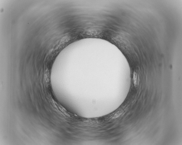 X0000088601107200706221359