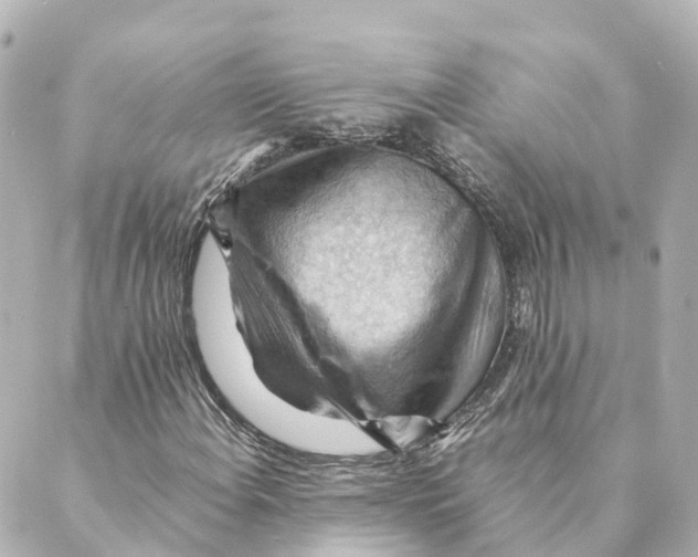 X0000088601108200706221359