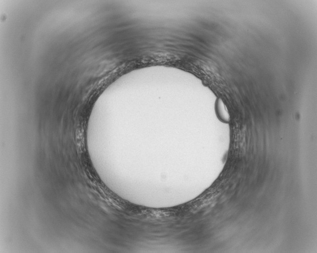 X0000088601109200706221359