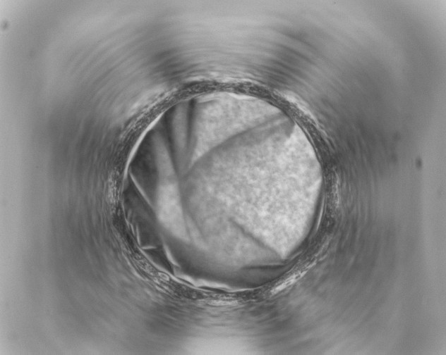 X0000088601110200706221359