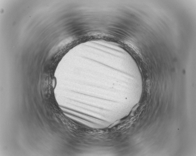 X0000088601111200706221359