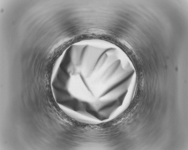 X0000088601112200706221359