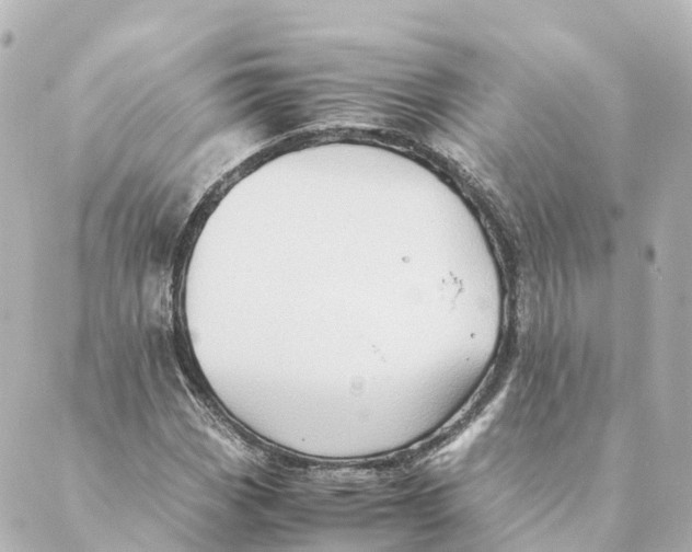 X0000088601113200706221359