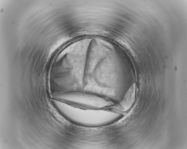 X0000088601114200706221359