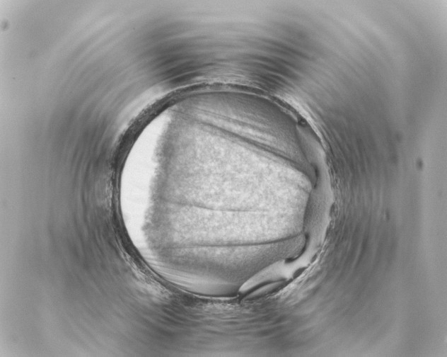 X0000088601115200706221359