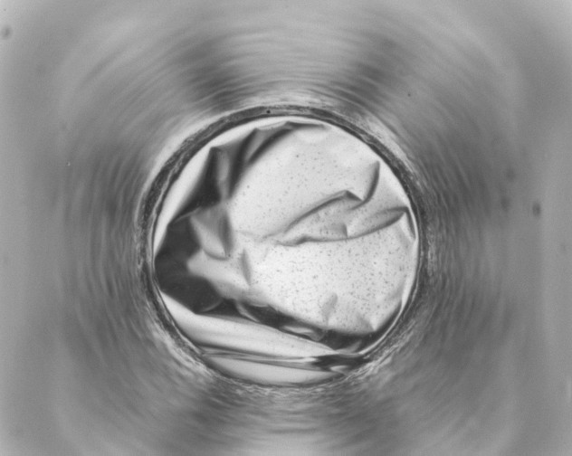 X0000088601116200706221359