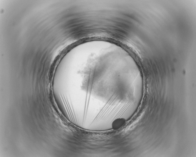 X0000088601117200706221359