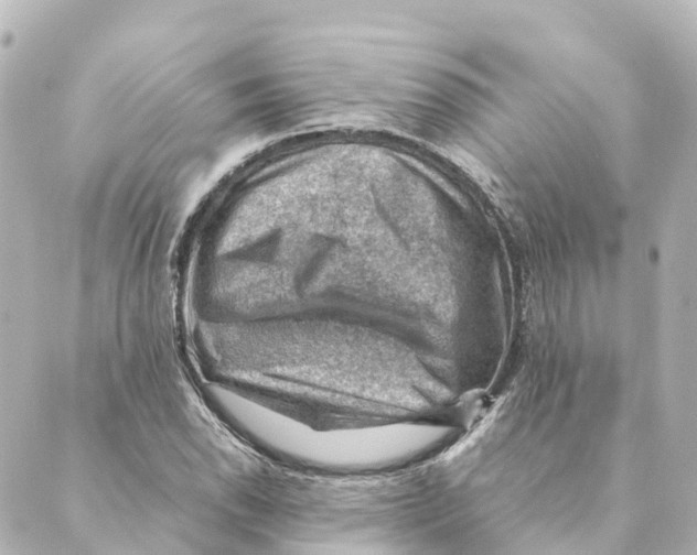 X0000088601118200706221359