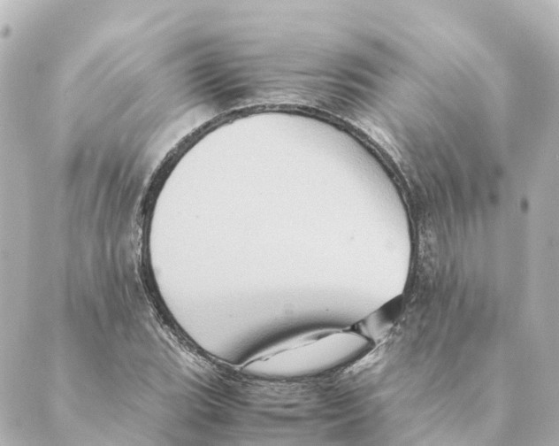 X0000088601119200706221359