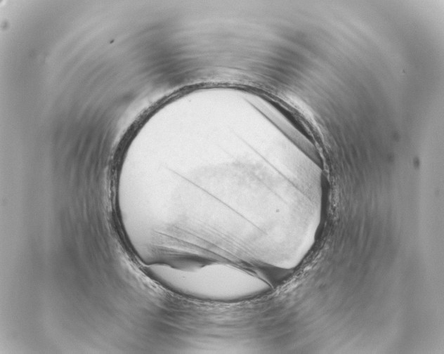 X0000088601120200706221359