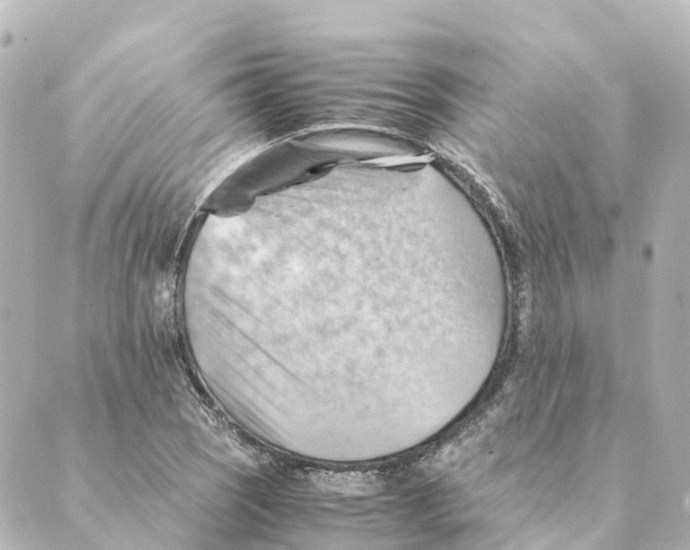 X0000088601121200706221359