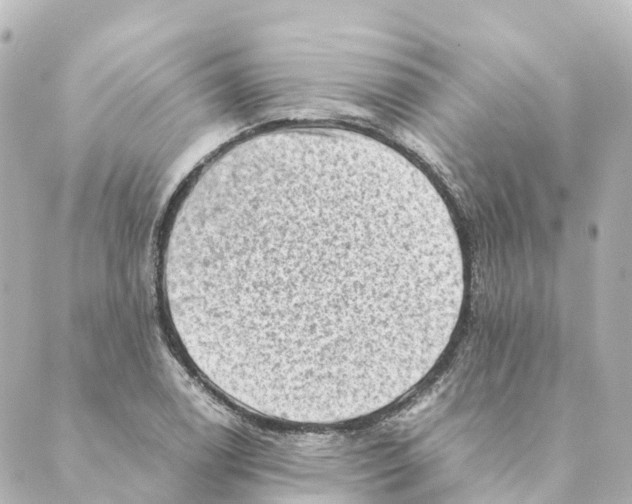 X0000088601122200706221359