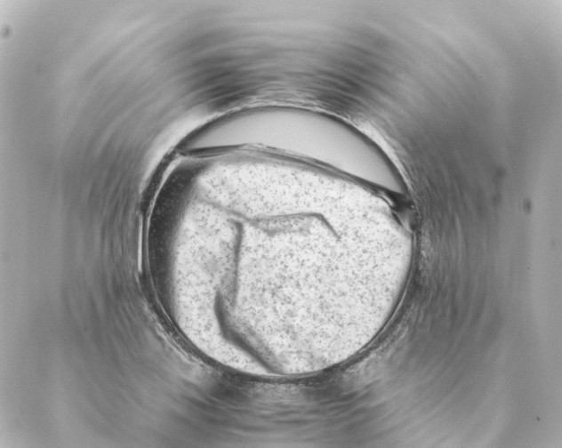 X0000088601123200706221359