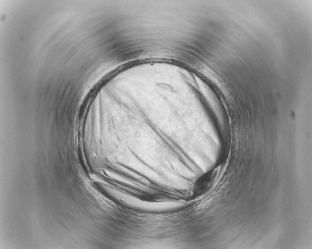 X0000088601124200706221359