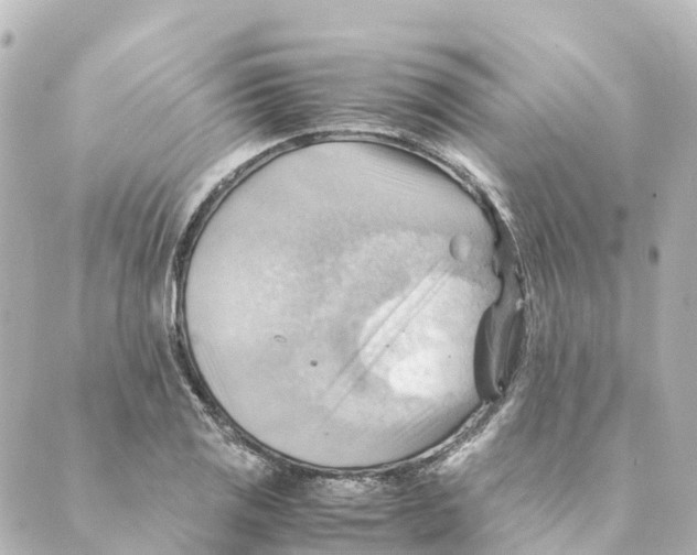 X0000088601125200706221359