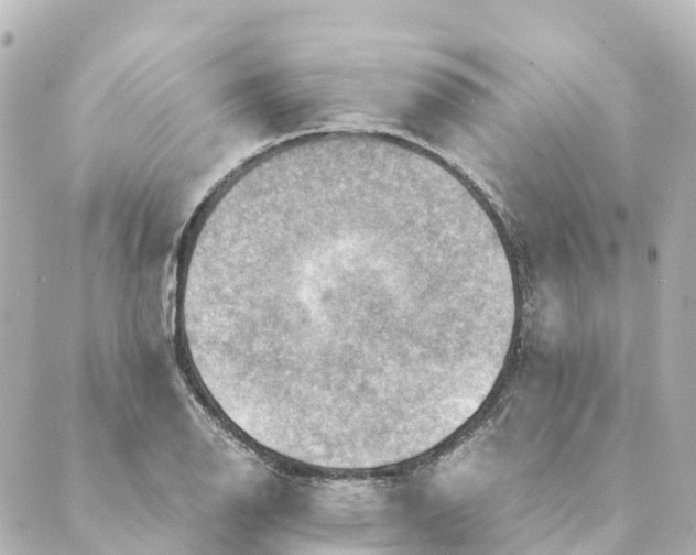 X0000088601126200706221359