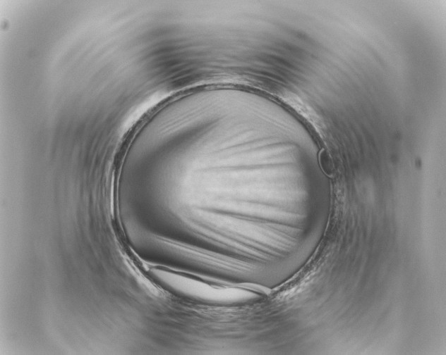 X0000088601127200706221359