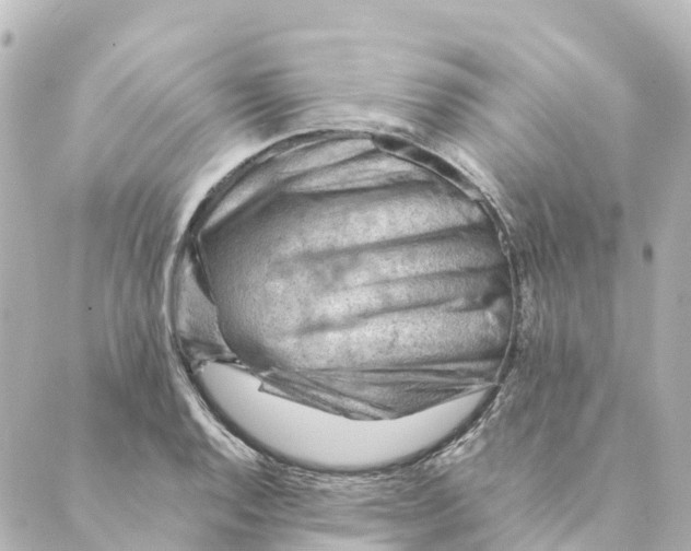 X0000088601128200706221359