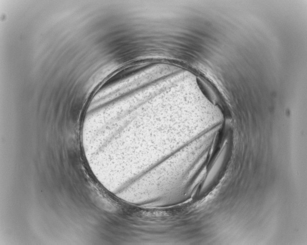 X0000088601129200706221359