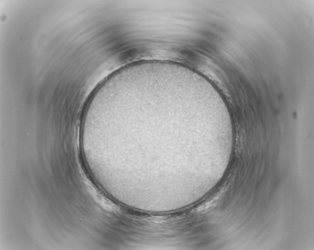 X0000088601130200706221359