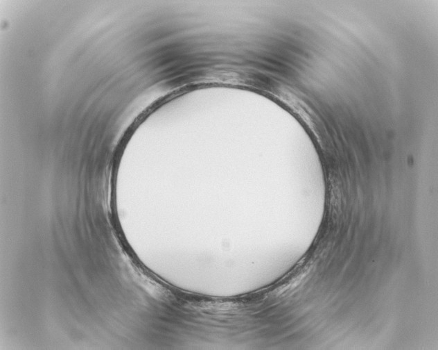 X0000088601131200706221359