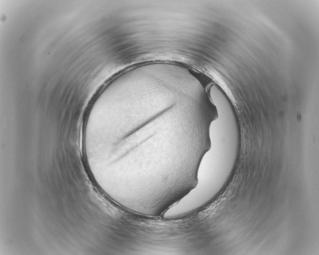 X0000088601132200706221359